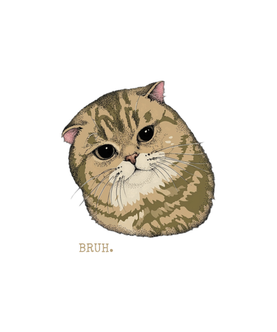 Bruh cat disappointed reaction meme