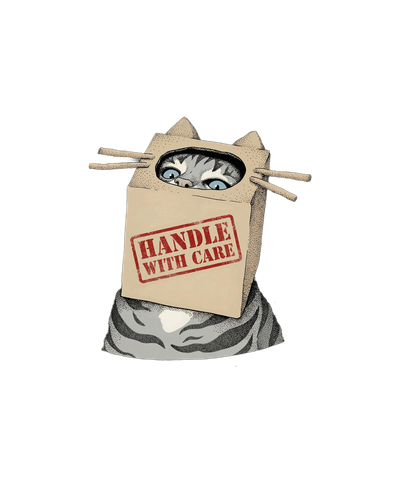 Handle With Care cat in box introvert cat
