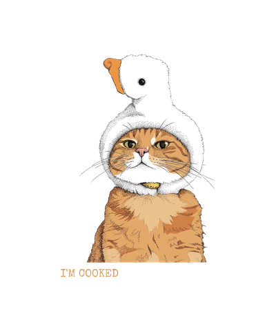I'm Cooked cat with goose hat burnout meme