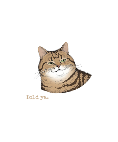 Told Ya smug cat I told you so